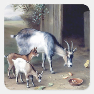 Goats and Chicken farm stickers