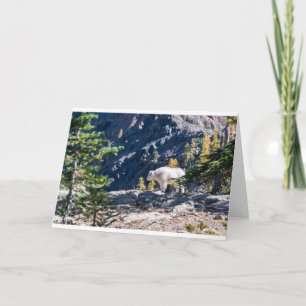 Goats and Goats and Goats (15) Card