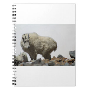 Goats and Goats and Goats (68) Notebook