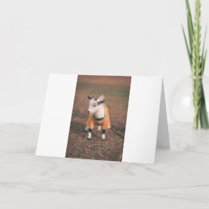Goats and Goats and Goats (6) Card