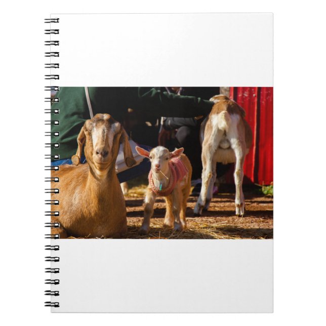 Goats and Goats and Goats (91) Notebook (Front)