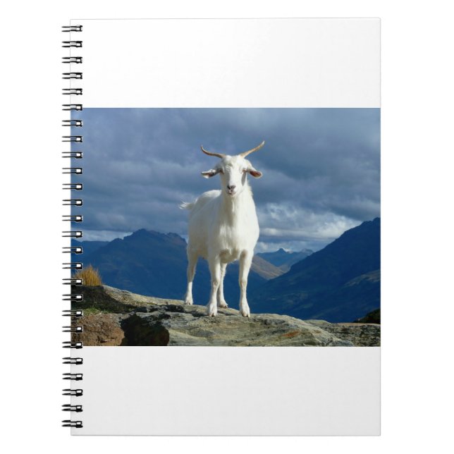 Goats and Goats and Goats (93) Notebook (Front)