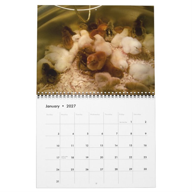 Goats and Poultry Calendar 2013 (Jan 2027)
