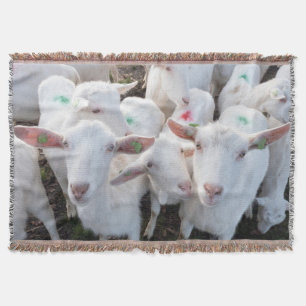 Goats Animals Throw Blanket