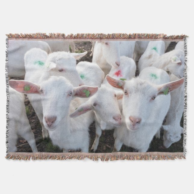 Goats Animals Throw Blanket (Front)