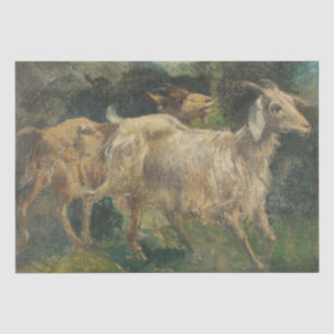 Goats (by Vincenzo Caprile) Tissue Paper