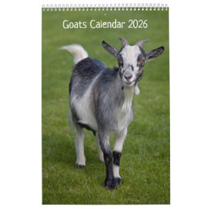 Goats Calendar 2025