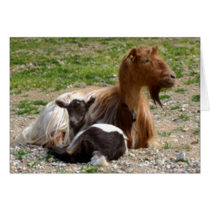 Goats Card