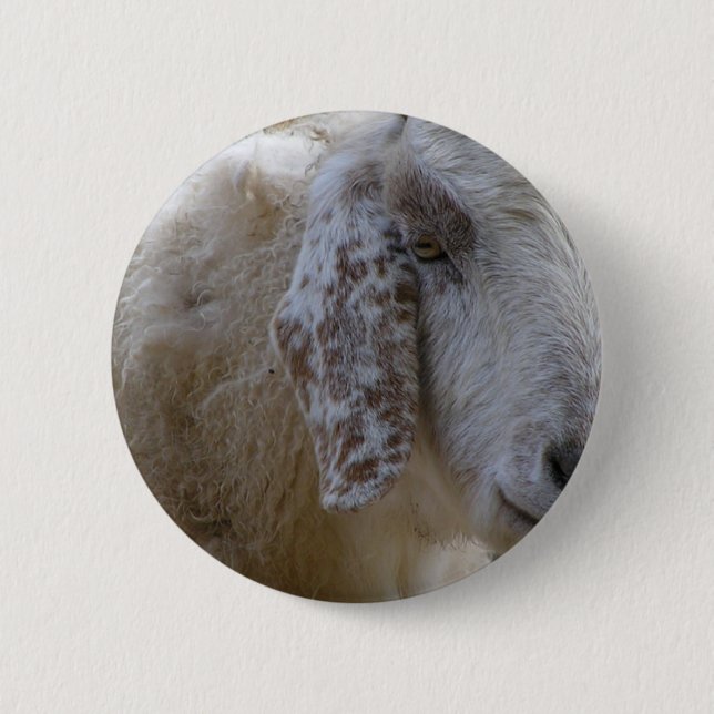 Goats face smiling! 6 cm round badge (Front)