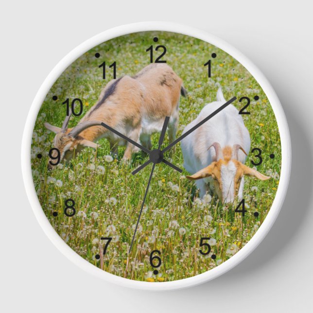 Goats Farm Animals Round White Clock (Front)