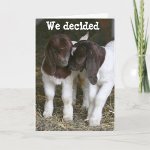 GOATS GET TOGETHER ON YOUR BIRTHDAY CARD