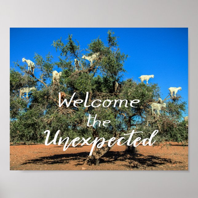 Goats in Trees Welcome the Unexpected Poster (Front)