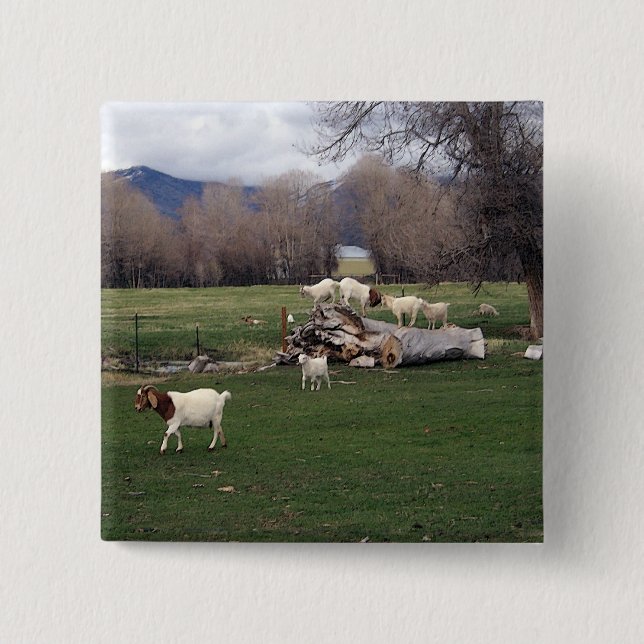 Goats On a Log 15 Cm Square Badge (Front)
