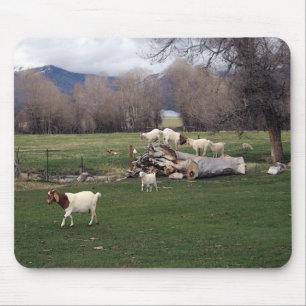 Goats On a Log Mouse Mat