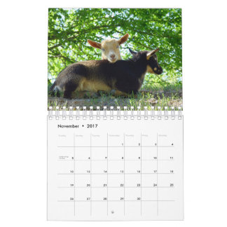 Goats on Grass K-N-S Farm Calendar