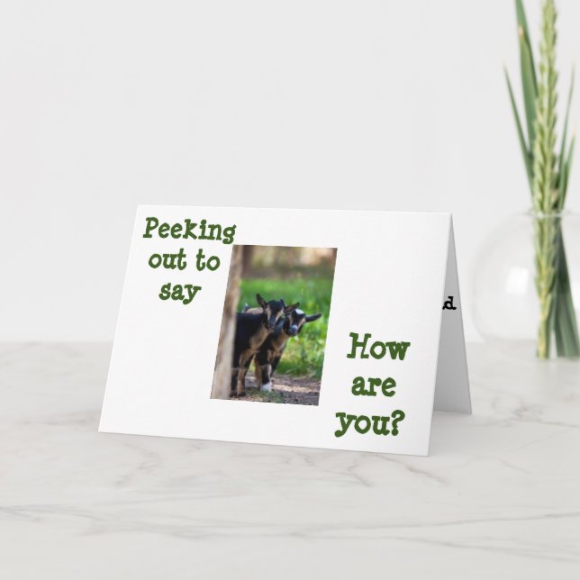GOATS PEEK OUT TO SAY **HOW ARE YOU?*** CARD (Front)