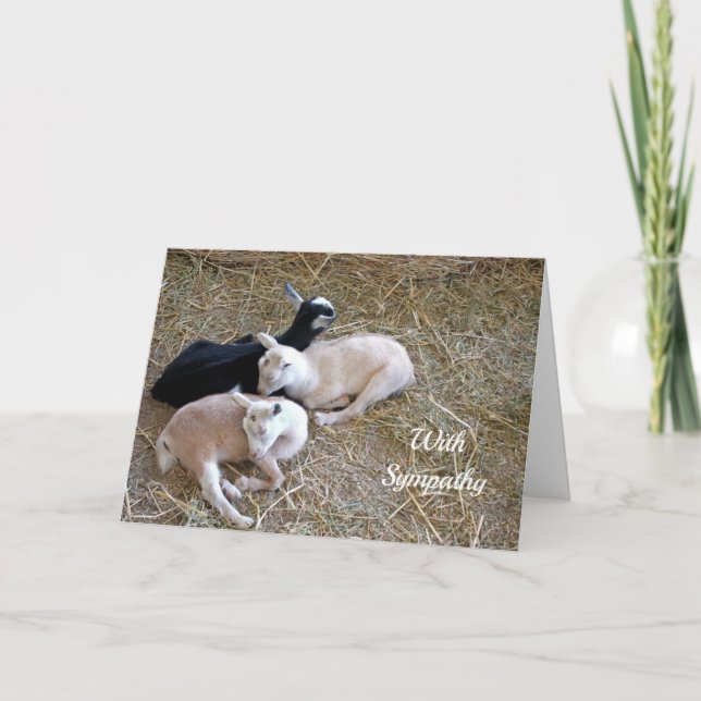 Goats Sleeping Hay Sympathy Card (Front)