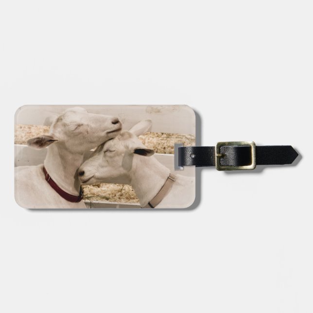 Goats Snuggling Luggage Tag (Front Horizontal)