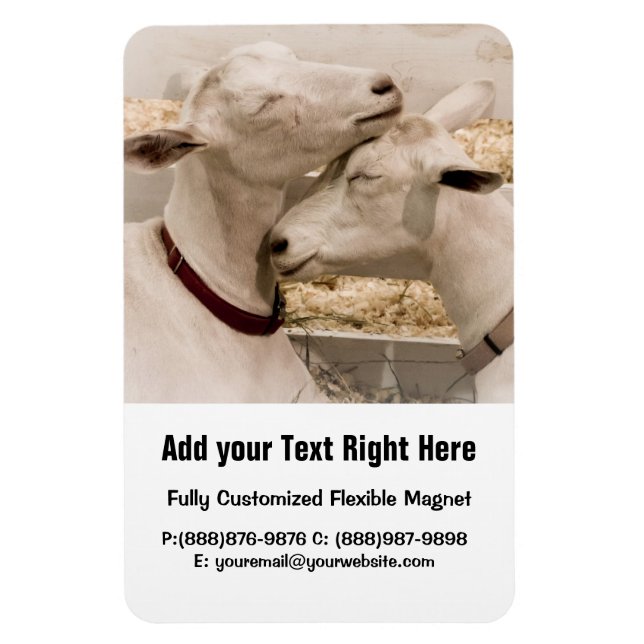 Goats Snuggling Magnet (Vertical)