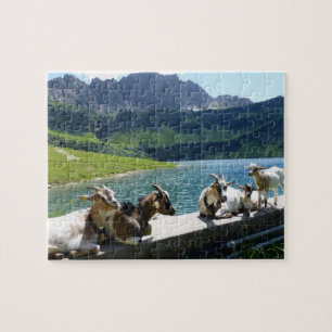 Goats Soaking Up the Sun Jigsaw Puzzle