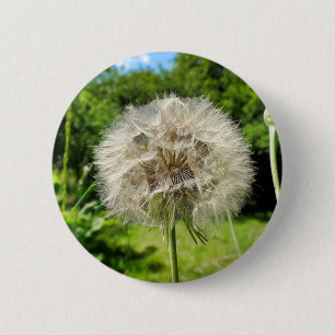 Goatsbeard Wildflower Badge