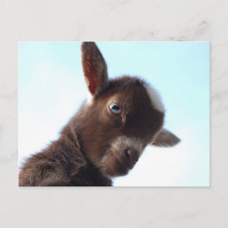 Goatzilla Postcard
