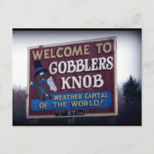 Gobblers Knob Punxsutawney, Pennsylvania Postcard