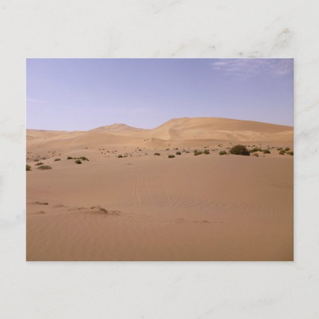 Gobi Sand Dune Postcard (Front)