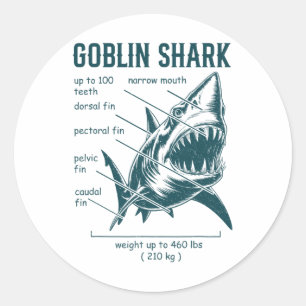 Goblin Shark Anatomy Marine Biologist Shark  Classic Round Sticker