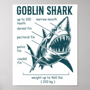 Goblin Shark Anatomy Marine Biologist Shark  Poster