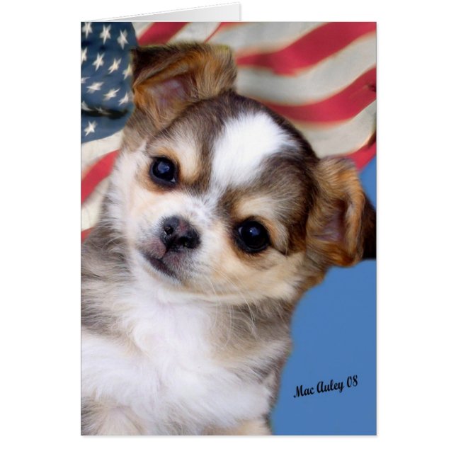 God Bless America (Front)