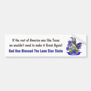 God Bless Texas Mockingbird & Bluebonnet Bumper Sticker