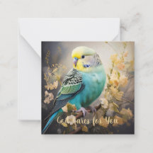God Cares for You, with Parakeet Note Card