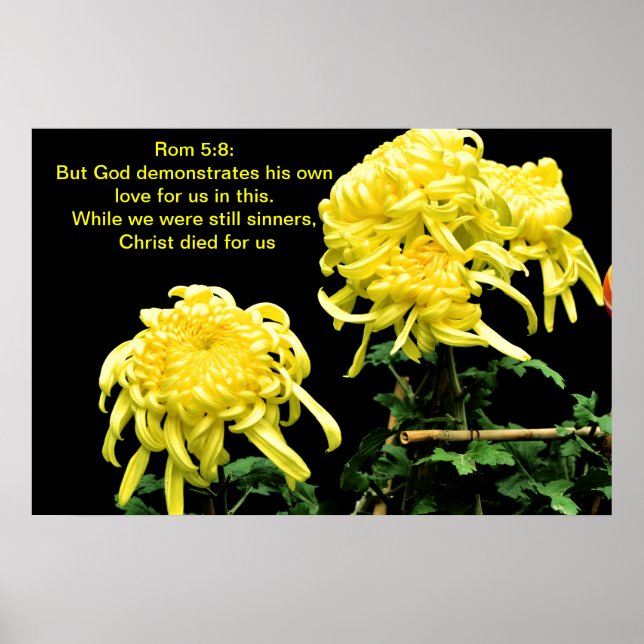 God demonstrates his own love poster (Front)