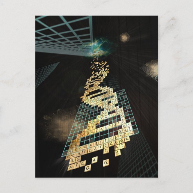 God doesn't play dice 2014 postcard (Front)