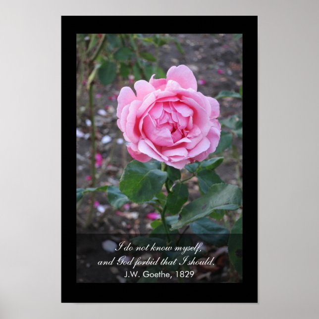 God forbid that I should know myself -Goethe quote Poster (Front)
