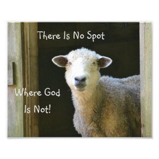 God Is Everywhere Sheep Photo Print