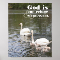 God is our Refuge Swan Photograph