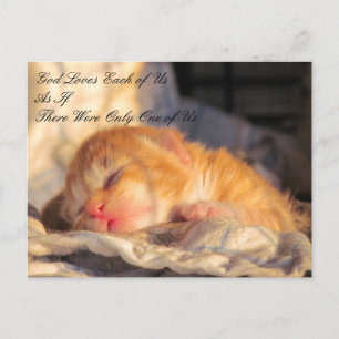 God Loves Us Postcard with Kitten Photo
