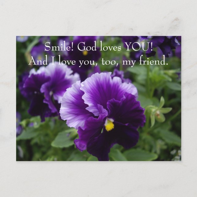 God Loves You Purple Pansies Postcard (Front)