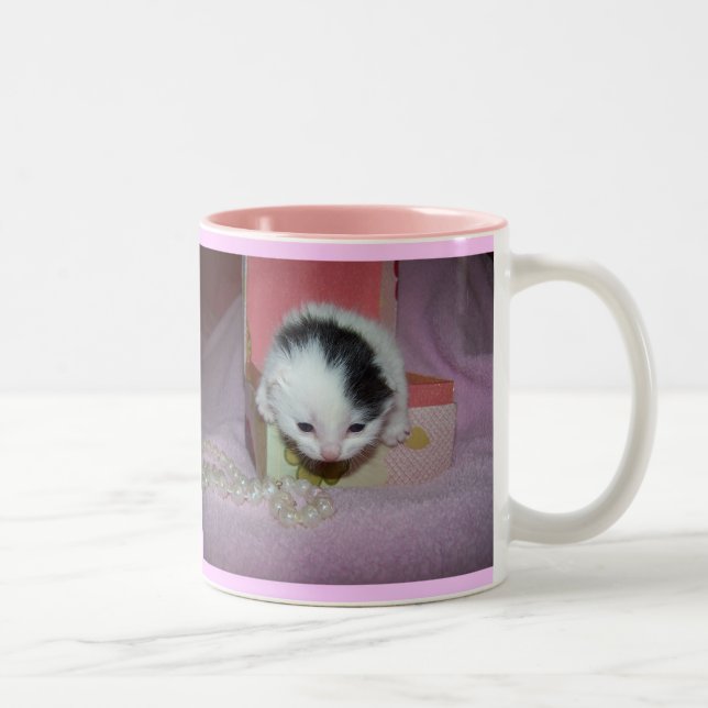 God made kittens xtra sweet! Two-Tone coffee mug (Right)