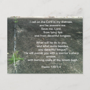 God protects you from liars postcard