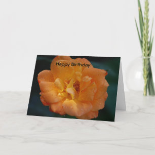 God rejoices in you!/Happy Birthday Card