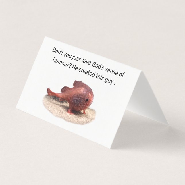 God’s Quirky Creation (Front)