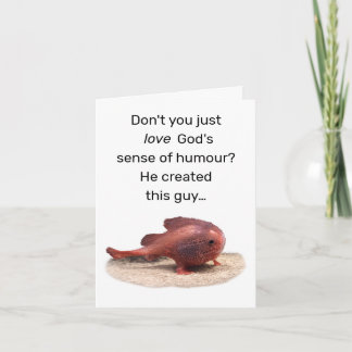 God’s Quirky Creation Card