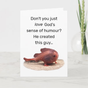 God’s Quirky Creation Thank You Card
