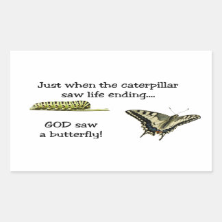 God Saw A Butterfly Rectangle Stickers