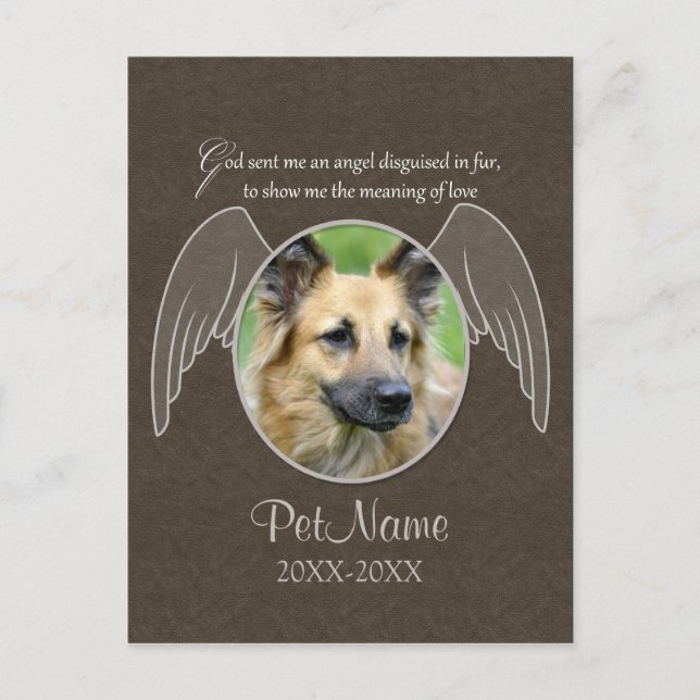 God Sent an Angel Pet Sympathy Custom Postcard (Front)