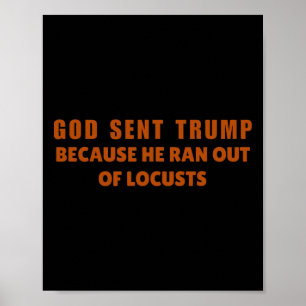 God Sent Trump Because He Ran Out Of Locusts Anti- Poster