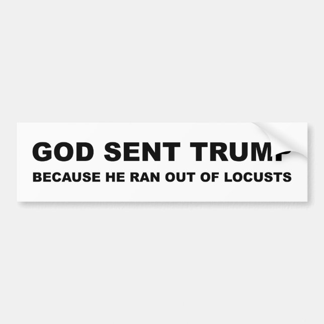 God Sent Trump Because He Ran Out Of Locusts Bumper Sticker (Front)